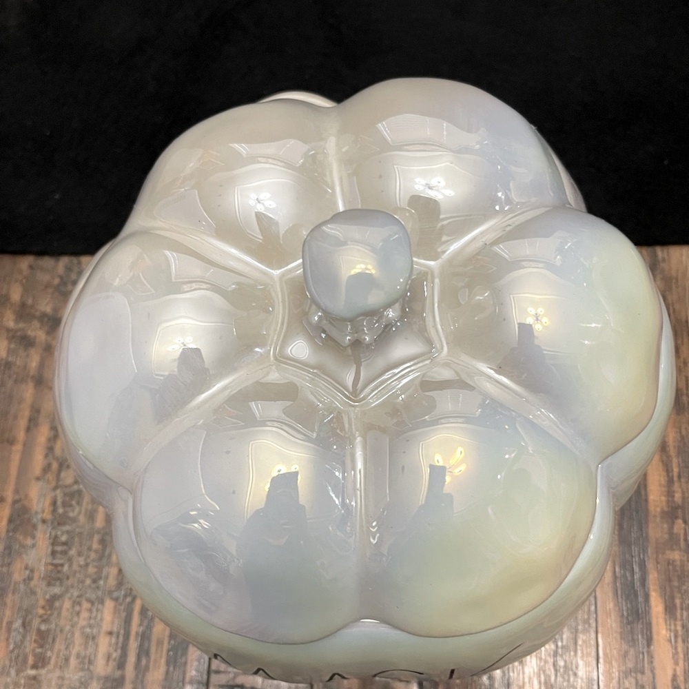 Rae Dunn Mother of Pearl “MAGIC” Pumpkin Canister - Picture 7 of 7